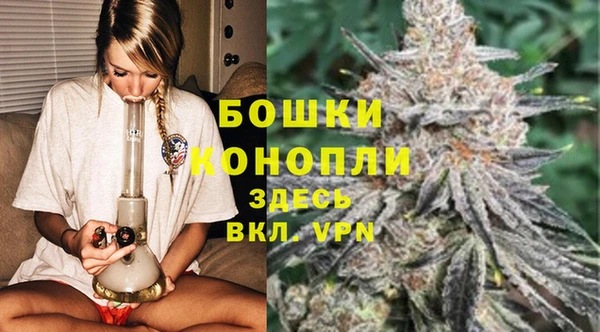 сатива Абдулино