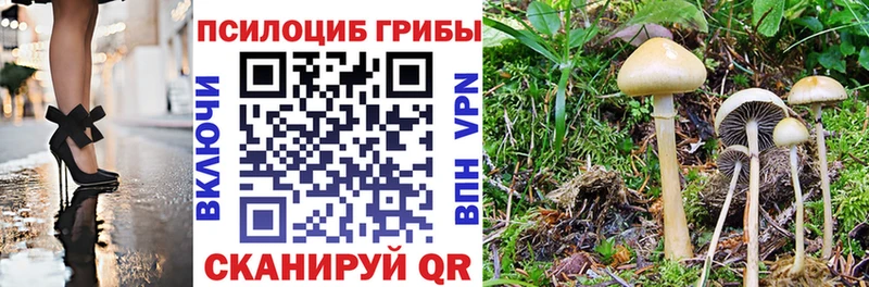 Галлюциногенные грибы GOLDEN TEACHER  Пойковский 